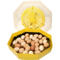 INKUBÁTOR KELTETŐGÉP KULCSTARTÓ 60 TOJÁS + TOJÁSFORGATÓ TÁLCA INGYENES