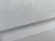 door right front BIALE NISSAN INTERSTAR MASTER II