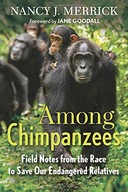 Among Chimpanzees: Field Notes from the Race to