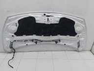 FORD TRANSIT CONNECT MK2 12-18r bonnet complete