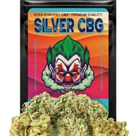 CBD SUSZ KONOPNY CBG SILVER PREMIUM PRODUKT NATURALNY ŚWIEŻY 100G