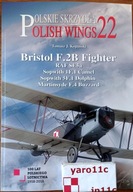 Bristol F.2B Fighter and others - Polish Wings
