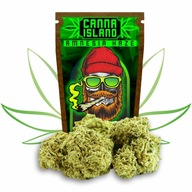 Susz Konopny CBD Amnesia Haze Canna Island 200g | Mocny |