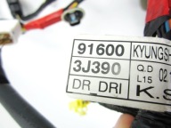 bundle wiring electrical door front front left Hyundai IX55