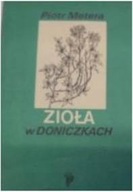 Zioła W Doniczkach - P Metera