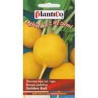Rzepa JADALNA Golden Ball nasiona 5 g