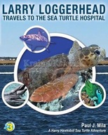 Larry Loggerhead Travels to the Sea Turtle