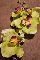 Umelá rastlina-orchidea zelená_Aluro