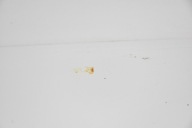 trunk door * boot rear rear part MG 3