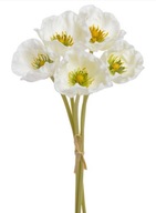Anemon kytica z peny kvet stonka 5 kusov ecru