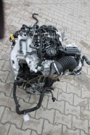 engine complete VW SKODA 2.0 TDI DXP 3TYS KM