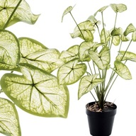 Dekoratívna rastlina umelá dekoratívna anthurium 45cm