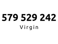 579-529-242 | Starter Virgin (52 92 42) #C