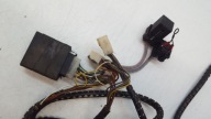 bundle wiring haka Peugeot 307 CC