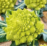 Romanesco karfiol mag 1 g eredeti Toraf mag forma