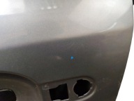 door left front RENAULT MEGANE III 3 LAK: TERNR (08-11)