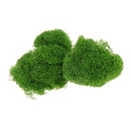 10 g/balenie Model Grass Powder Falošná trávová víla Záhradná žltá Zelená miniatúra