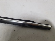 moulding door left front dust CHROM MERCEDES W251