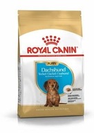 Royal Canin SHN Breed Dachshund Jun krmivo 1,5 kg