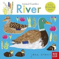 Animal Families: River group work