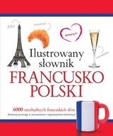 Ilustrowany słownik francusko-polski (różowy) Tadeusz Woźniak