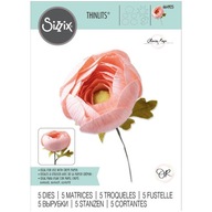 Wykrojnik Sizzix Thinlits - Ranunculus jaskier