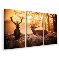 Obraz Triptych JELENE Les Slnko Príroda 3D 150x100