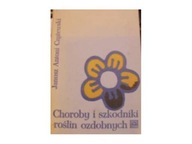 Choroby i szkodniki roślin ozdobnych -