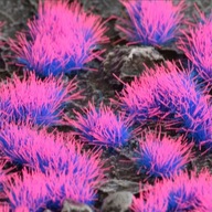 Gamers Grass: Special tufts - 4 mm - Alien Neon (W