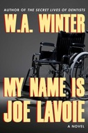 My Name Is Joe Lavoie Winter W.A.
