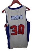 Reebok Detroit Pistons Arroyo koszulka męska NBA M