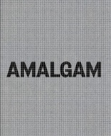 THEASTER GATES:: AMALGAM group work