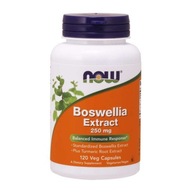 NOW FOODS Boswellia 250 mg ekstrakt z Kurkumą (120 kaps.)