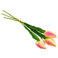 Zväzok 3 ks tulipánov ružovej 50 cm