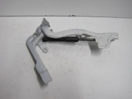 Cerniere cofano CITROEN DS7 CROSSBACK 9829653580