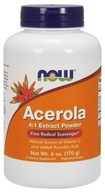 Now Foods Acerola w proszku ekstrakt 4:1 170 g