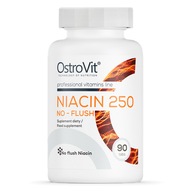 OstroVit Niacín 250 NO-FLUSH 90 tabliet