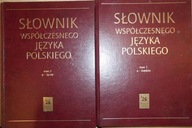 Słownik współczesnego języka polskiego 2 tomy -