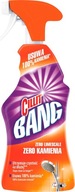 CILIT BANG SPRAY KAMIEŃ I RDZA 750 ml