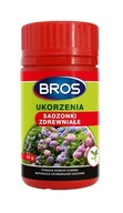 BROS ukorzenia sadzonki zdrewniałe GRATIS