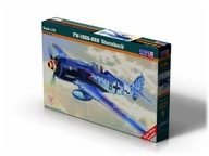 FW-190 A8/R8 Sturmbock, C-06, 1:72