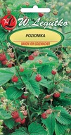 Poziomka Baron von Solemacher Czerwona 0,2g - Nasiona - W. Legutko