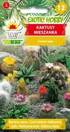 KAKTUSY MIX zmes odrôd na pestovanie v kvetináčoch 0,2g Toraf
