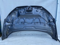 FORD ECOSPORT 2012-2017 cofano MAGNETIC GRAY Originale