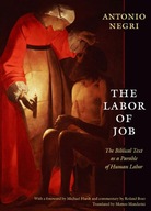 The Labor of Job: The Biblical Text as a Parable