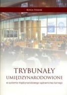 TRYBUNAŁY UMIĘDZYNARODOWIONE W SYSTEMI E MIĘDZYNARODOWEGO SĄDOWNICTWA KARNE