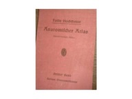 Anatomischer Atlas - Toldts F Hochsteter