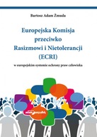 Europejska Komisja przeciwko Rasizmowi i Nietolerancji (ECRI) w europejskim