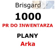 B 1000PR PLANY ARKA Brisgard