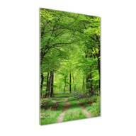 Foto obraz tvrdené sklo Zelený les 50x100 cm